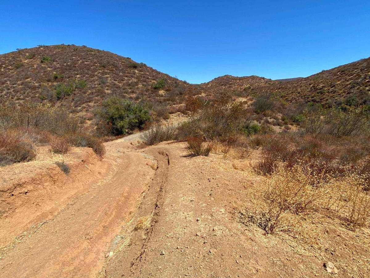 Old Race Route photo 3