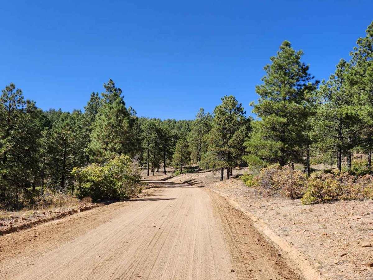 Devils Canyon Road trail photo