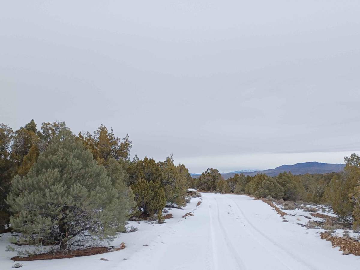 Coal Springs Loop photo 6
