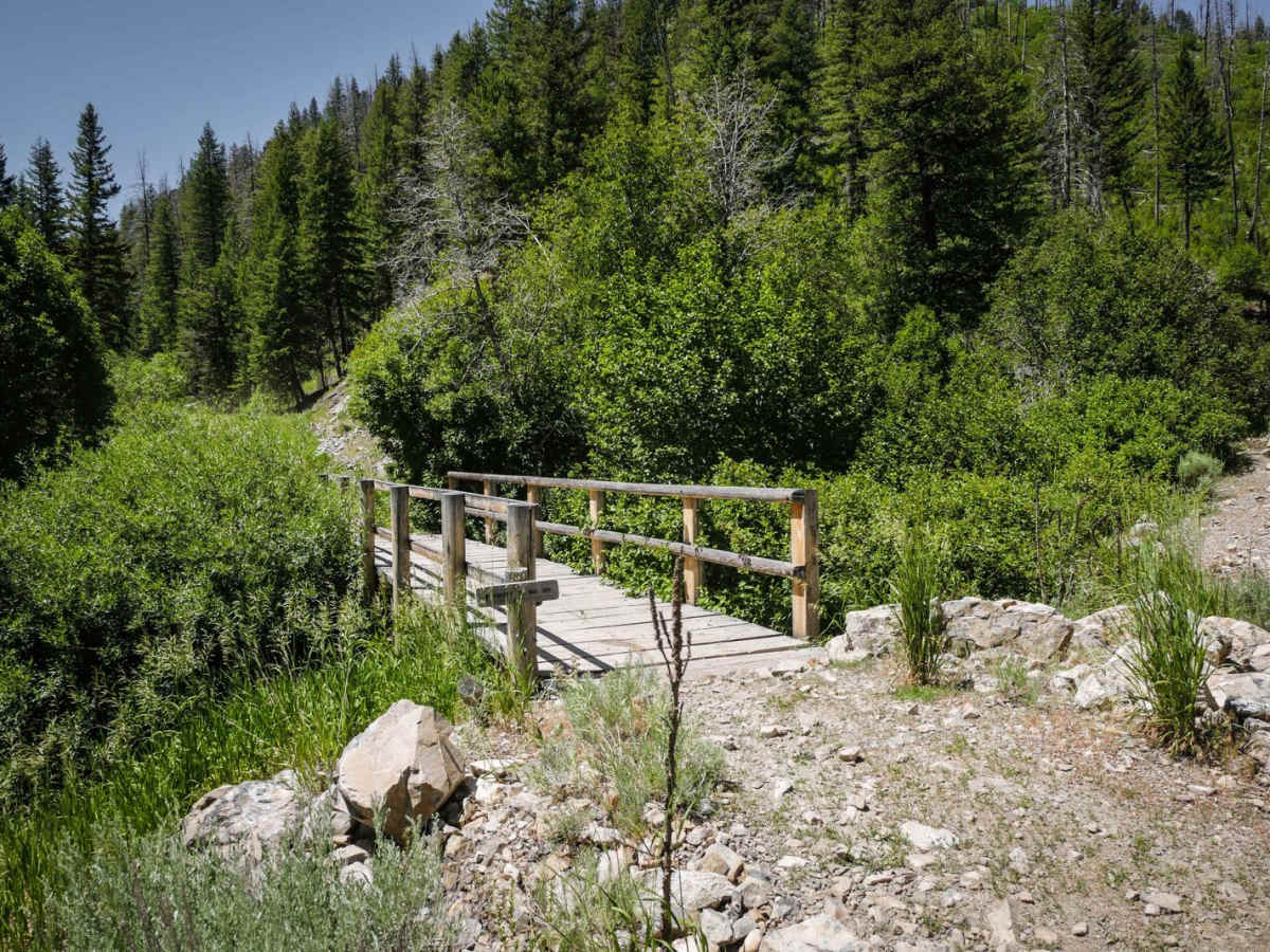 Kinsey Creek ATV Trail photo 2