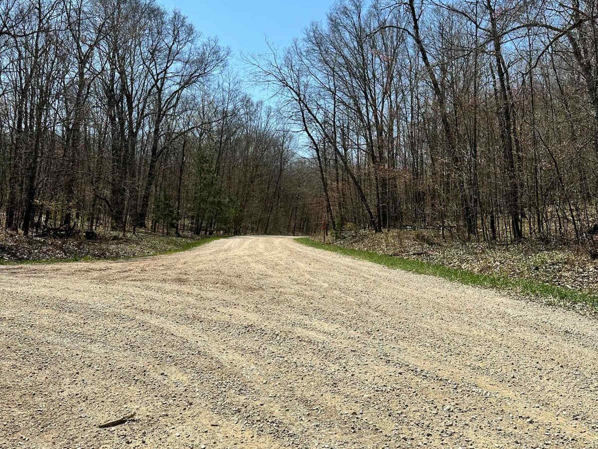 Cadillac Area ORV/OHV Scenic Ride - Part 15 photo 6