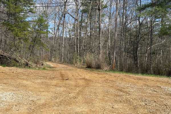 Trail 5