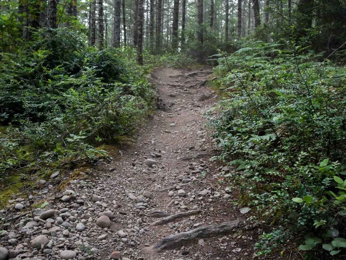 Nucleus photo 3
