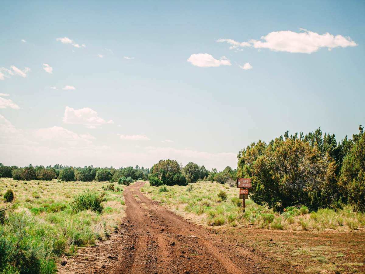 Laws Spring trail photo