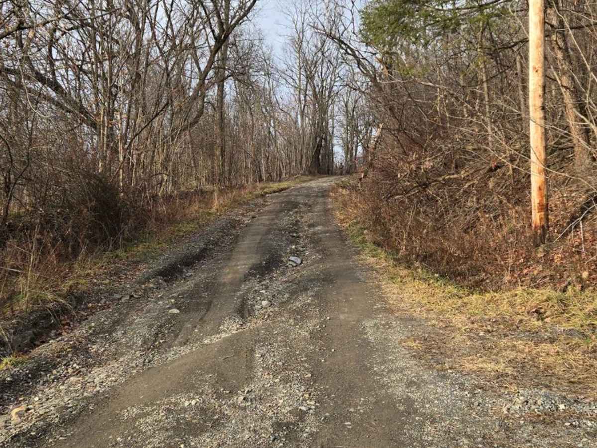 Talbort Hill - Pulver - Losey Hill trail photo