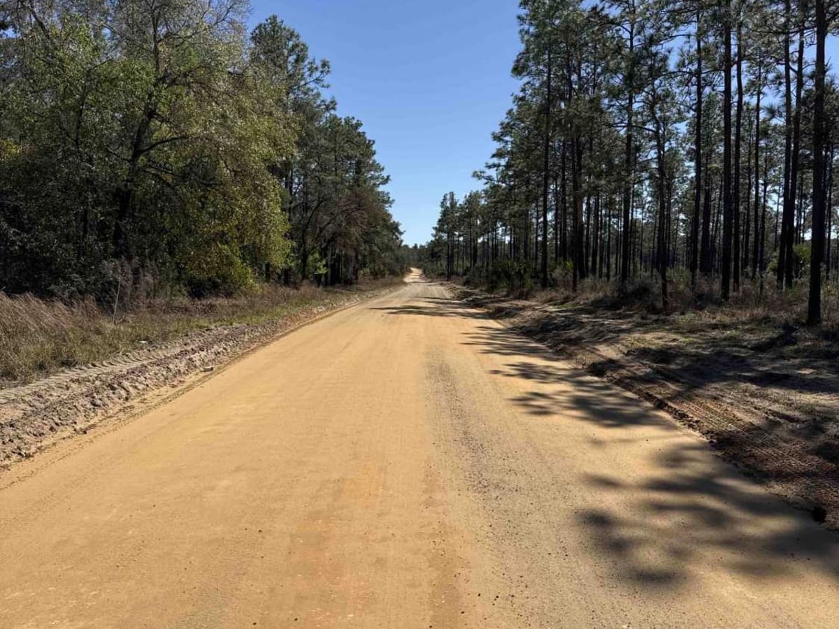 Telephone Trail South - ONF 69 trail photo