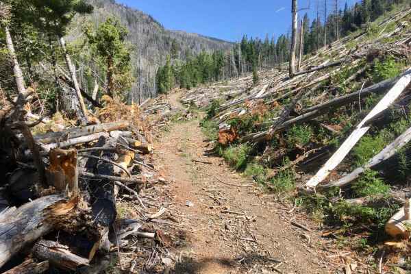 Stonewall Creek Road - FS 607E