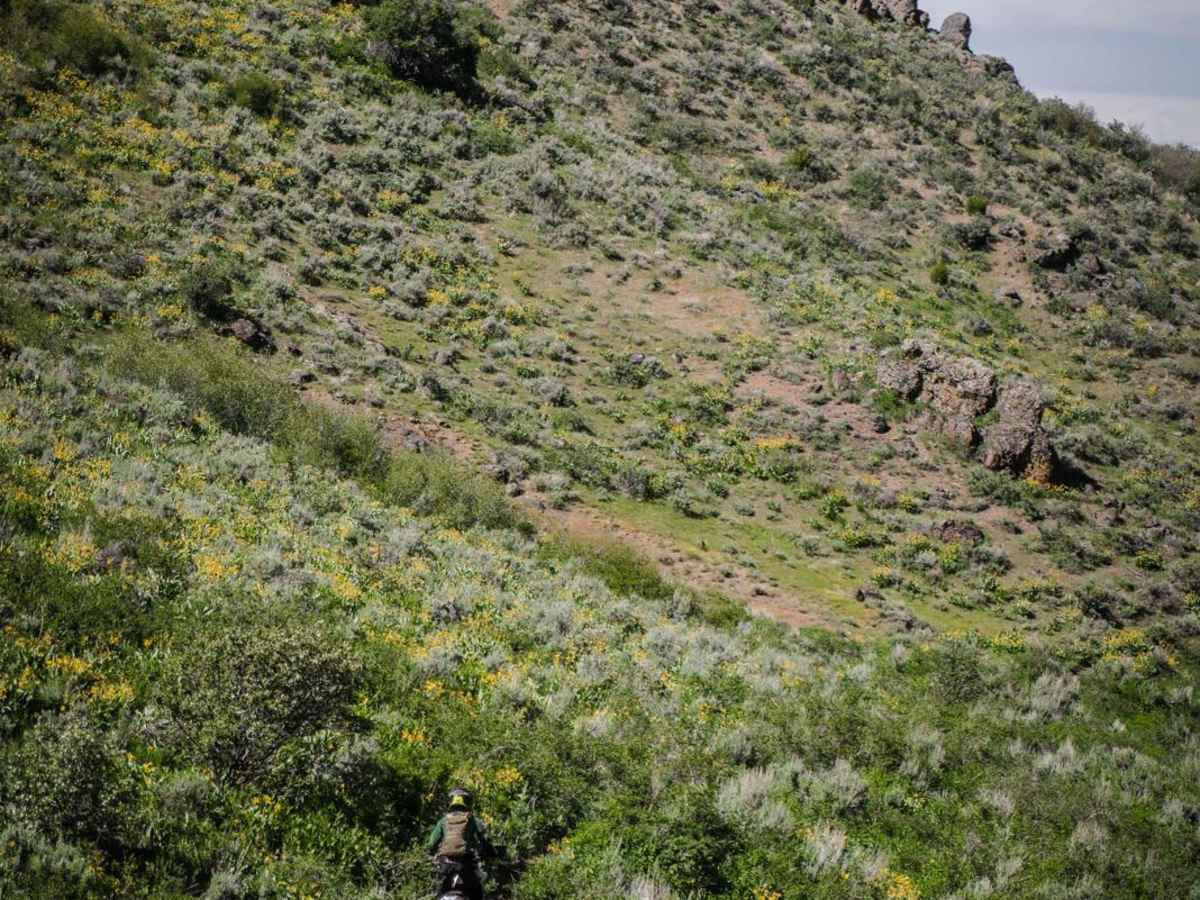 Mud Springs trail photo