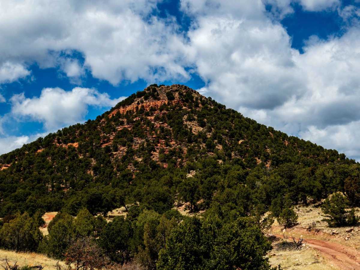 The Banks BLM Road 5820 trail photo
