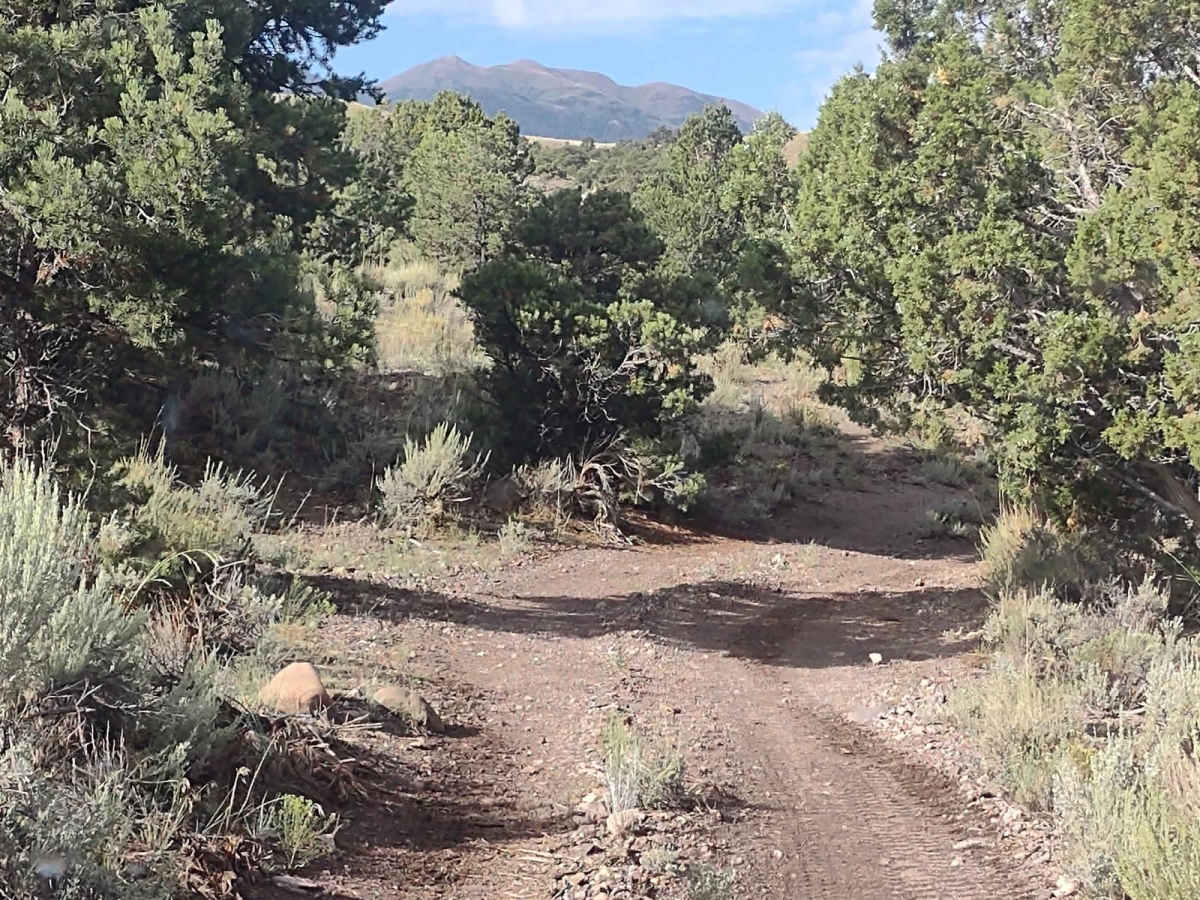 Revenue Gulch to Rainbow Road photo 4