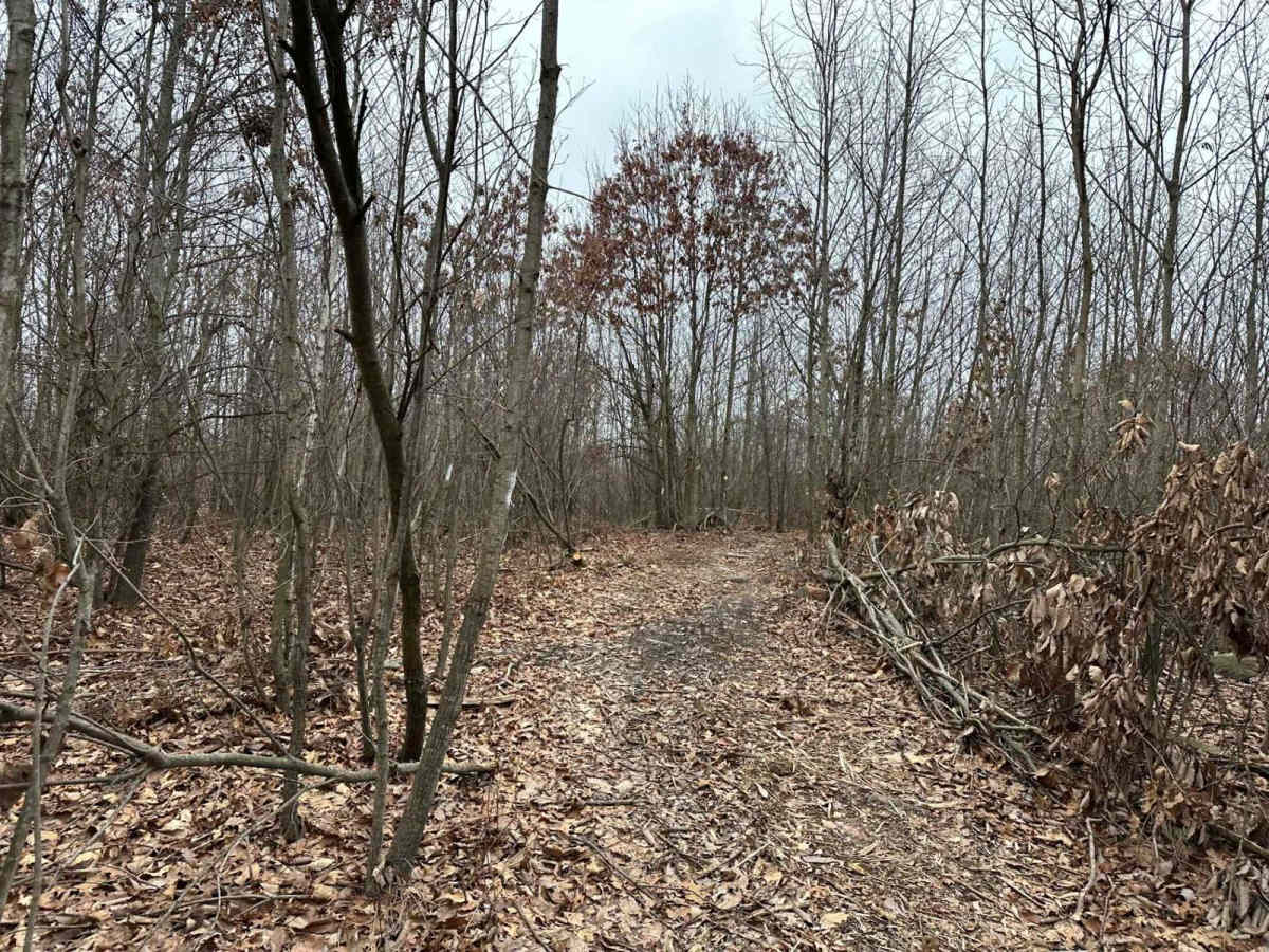 Darkwater 108 East trail photo