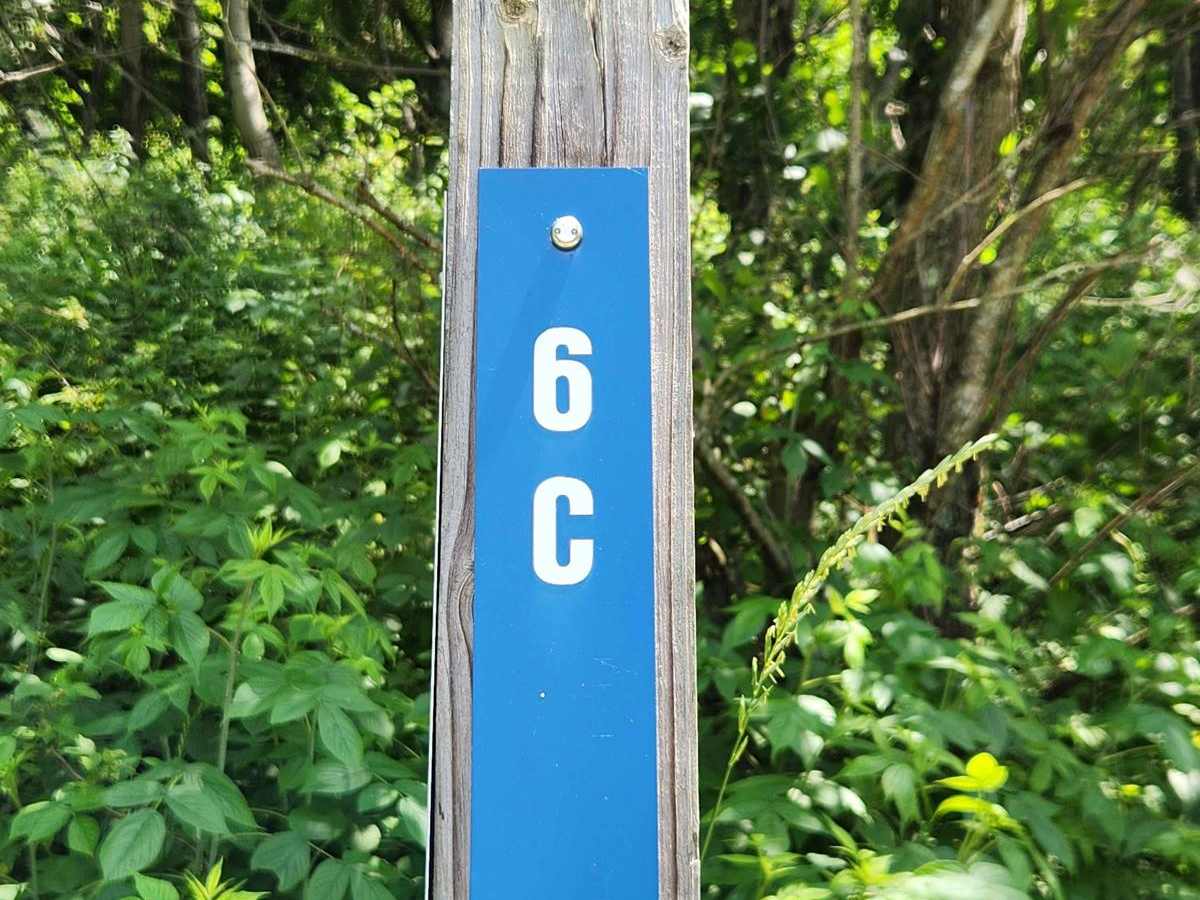 Trail 6C - Rock Run Recreation Area trail photo