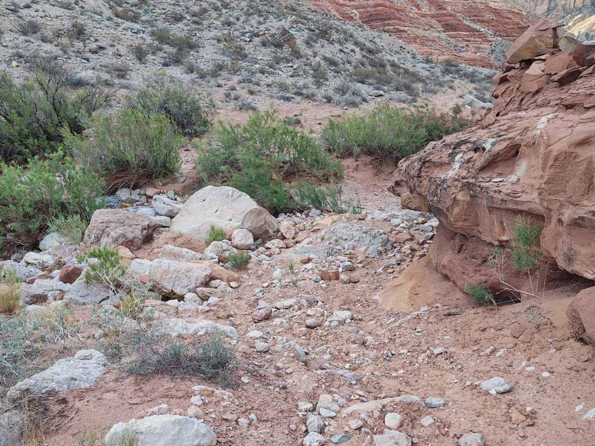 Rock Canyon - Single track photo 3