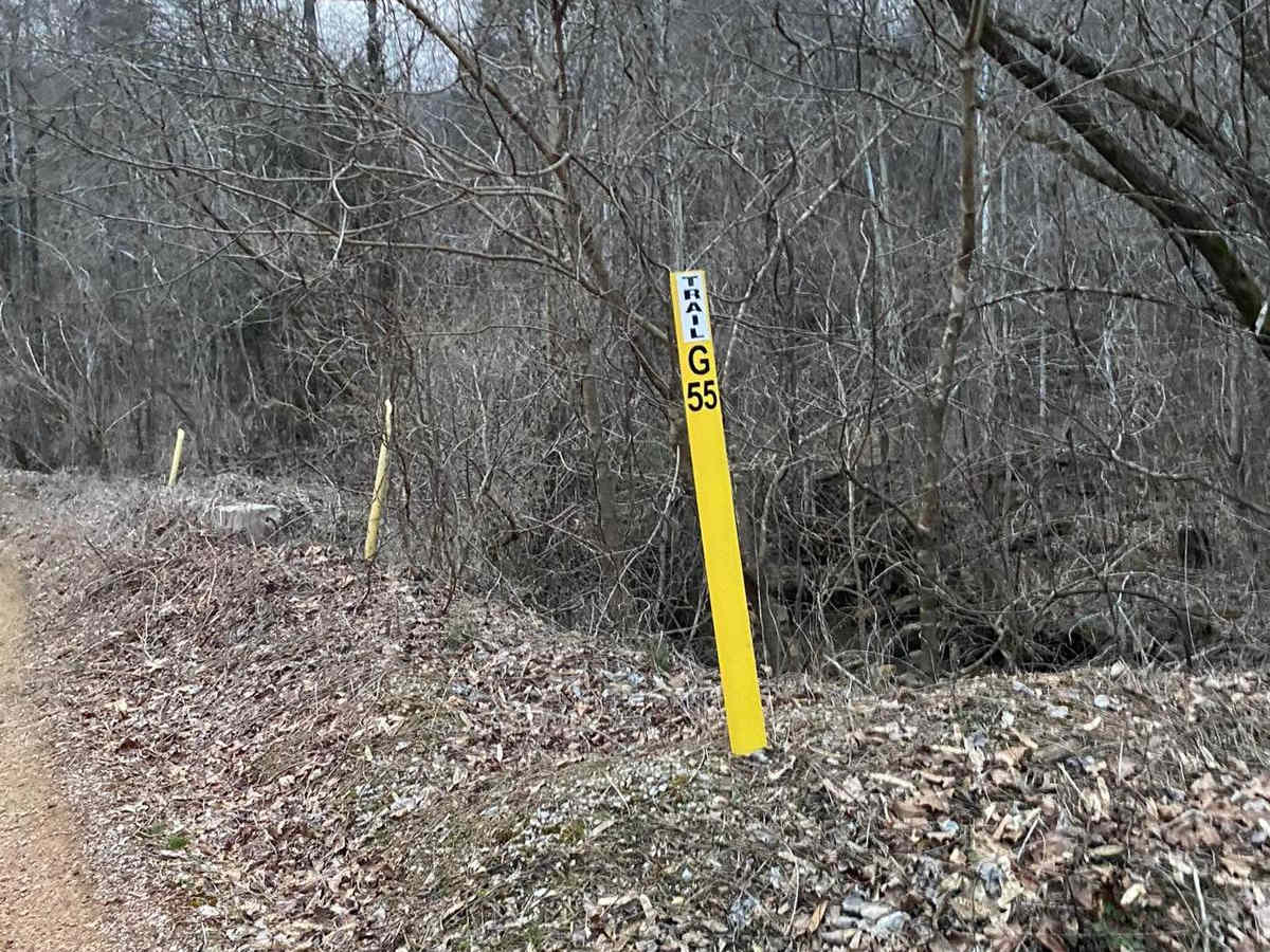 G55 Windrock trail photo