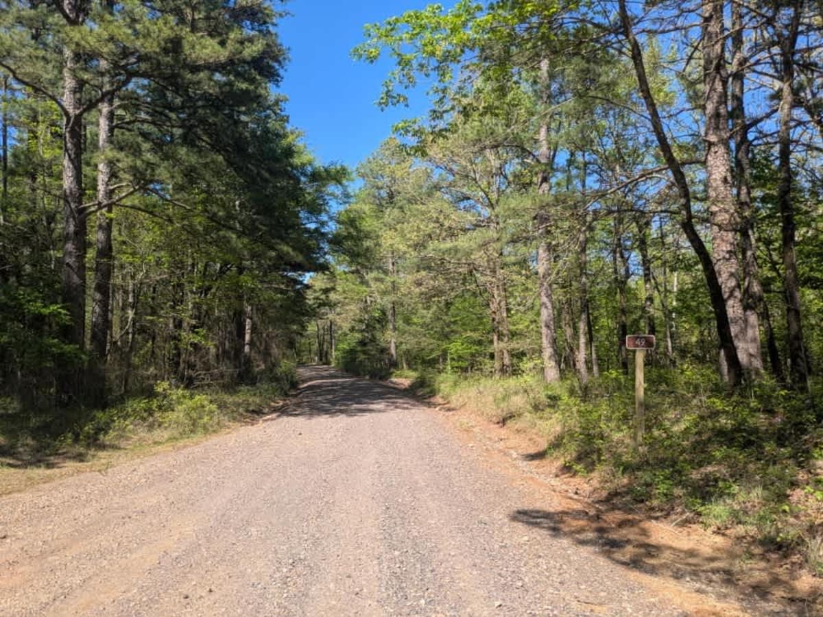 County Road 97 photo 6