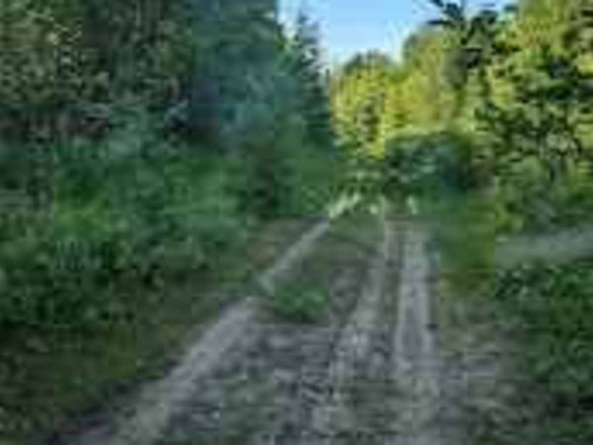 Mill Bank Bend trail photo