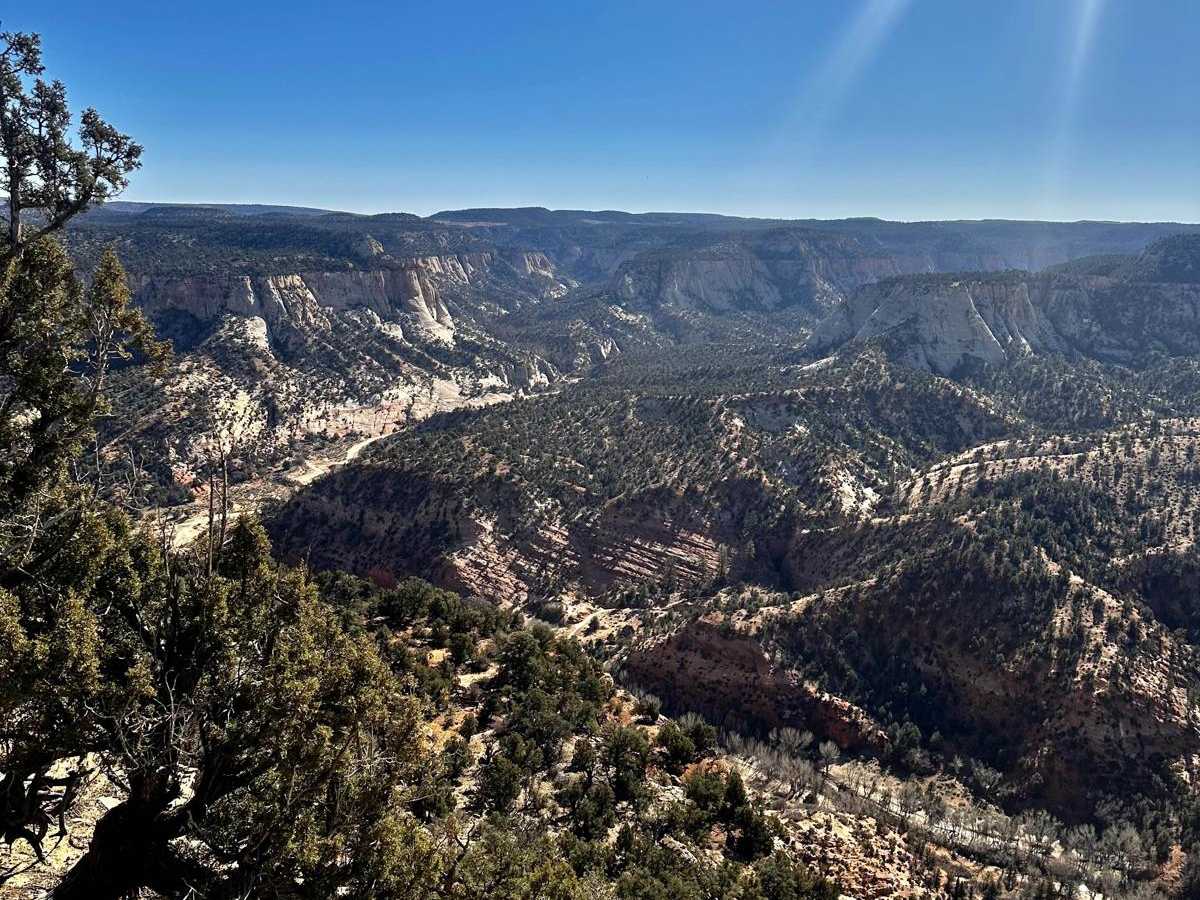BLM 73M photo 3