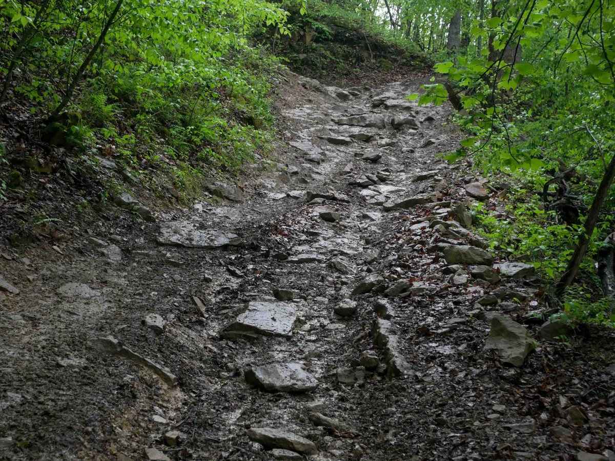 BM 98 trail photo