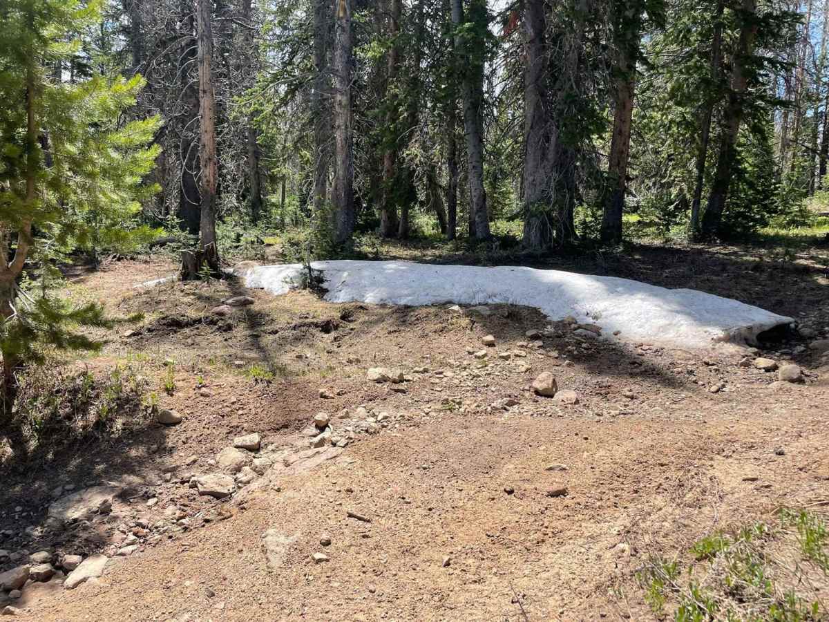 Road Hollow photo 5