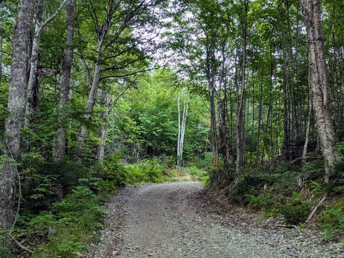 Connors Mountain Road photo 4