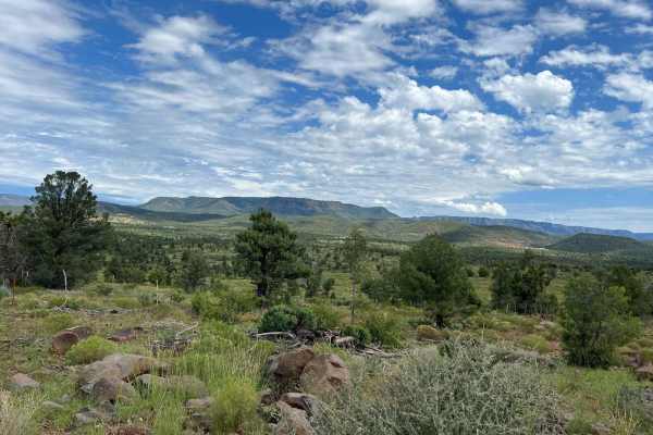 Crackerjack Mesa-  FS 209