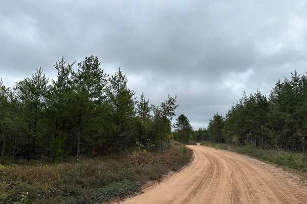 Hemmings Lake Road