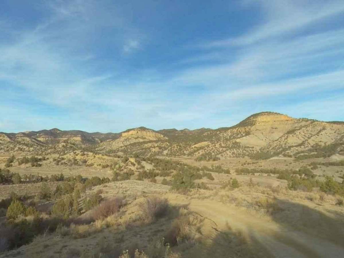Trail Canyon photo 5