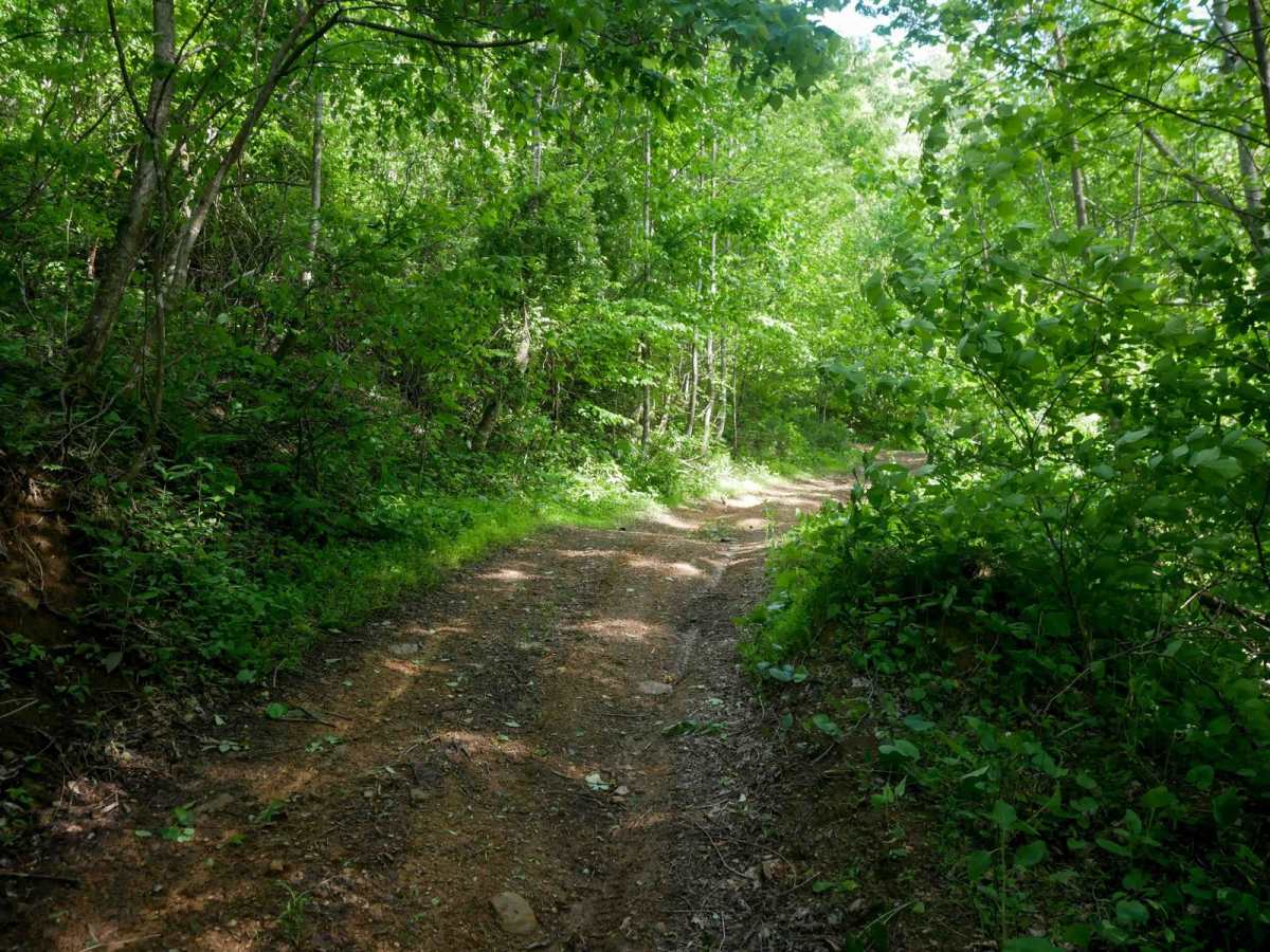 RV30 photo 5
