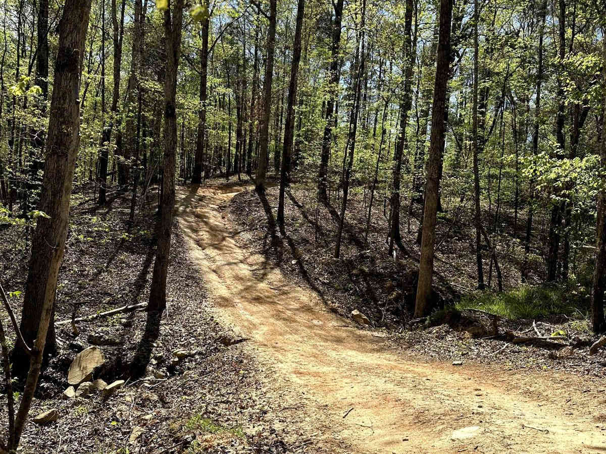Trail 41 photo 4