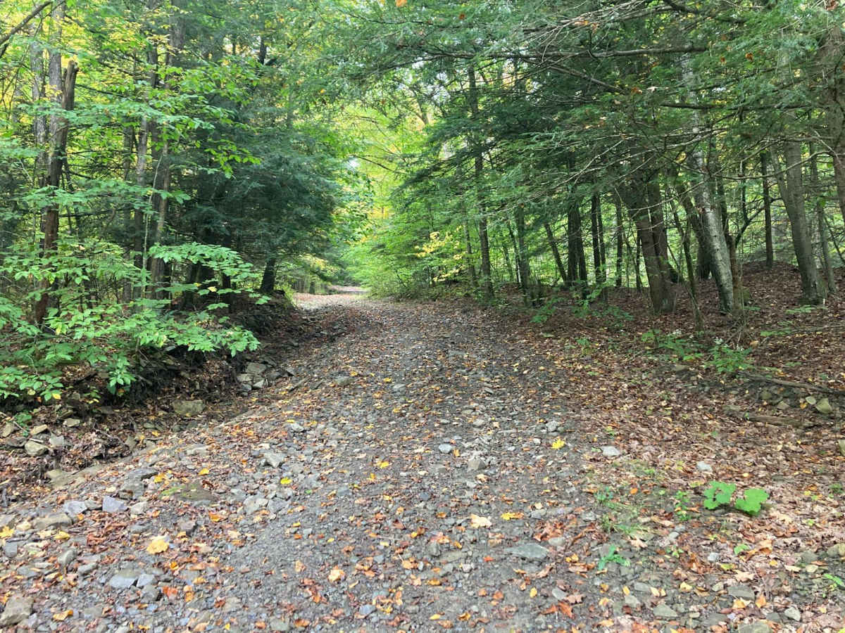 Cook Road photo 4
