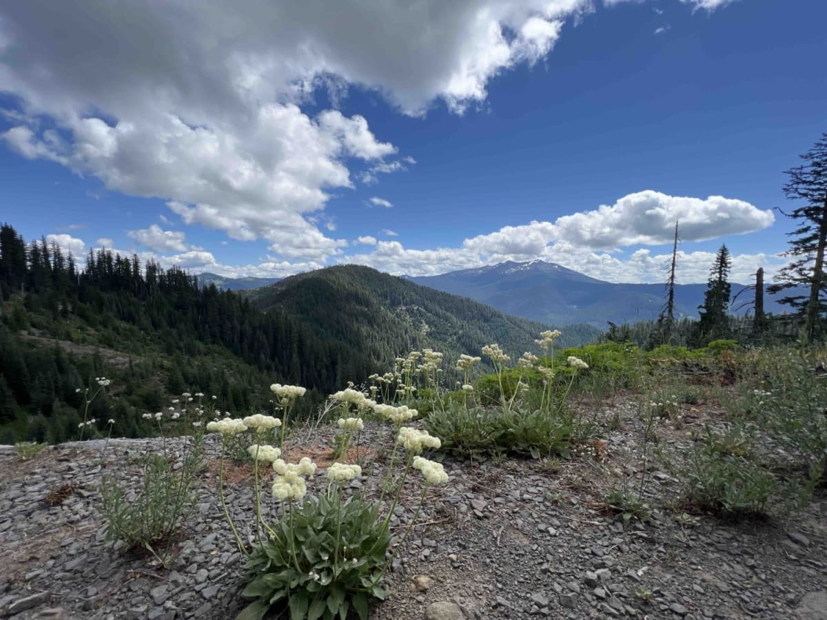 Buck Creek 2120 trail photo