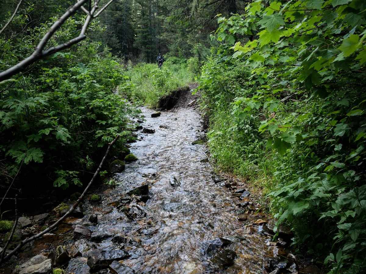 Big Creek trail photo