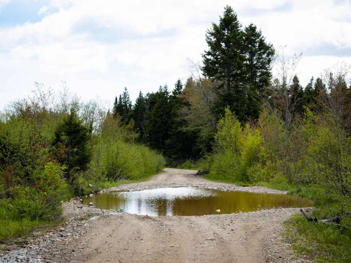 Goose Creek Road photo 4