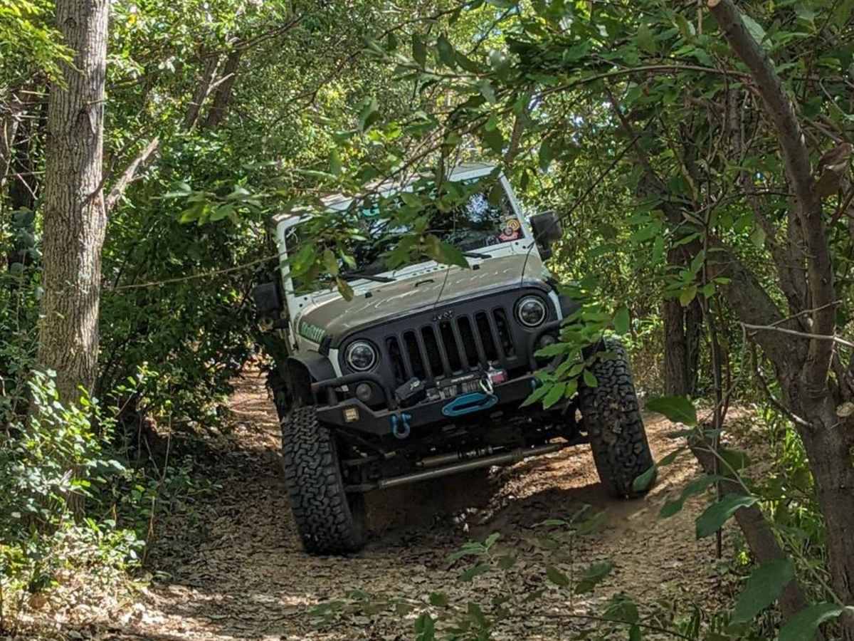 Sherwood Forest trail photo