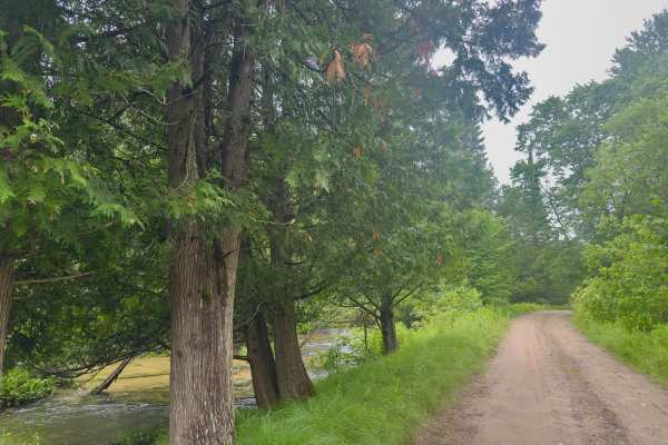 South Jordan River Road