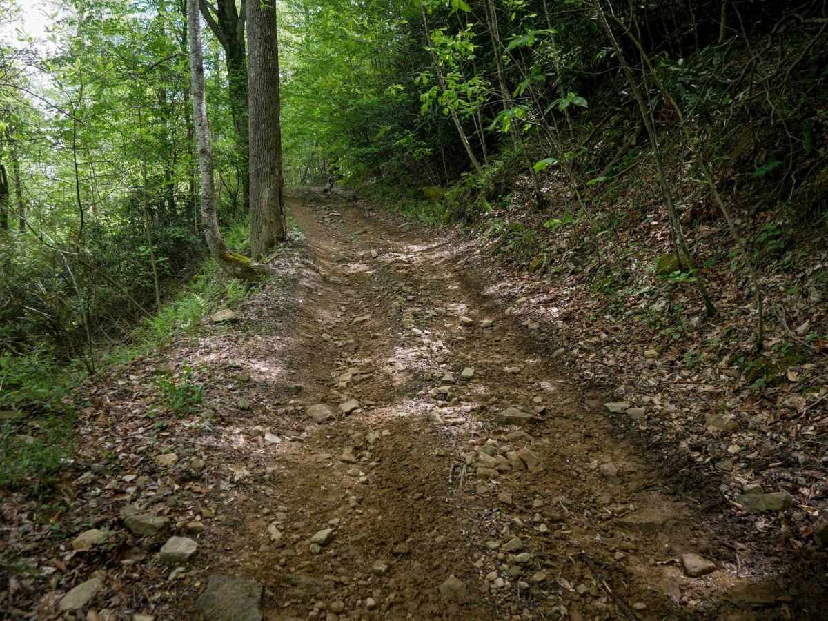 PC 81 trail photo