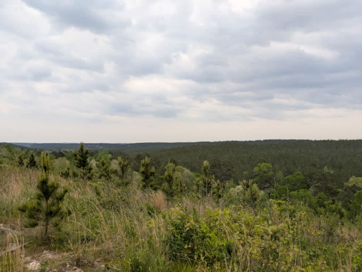 51220 photo 5