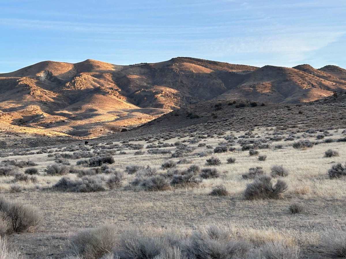 Wildhorse Track photo 5