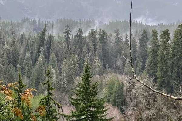 Donkey Creek Cutoff