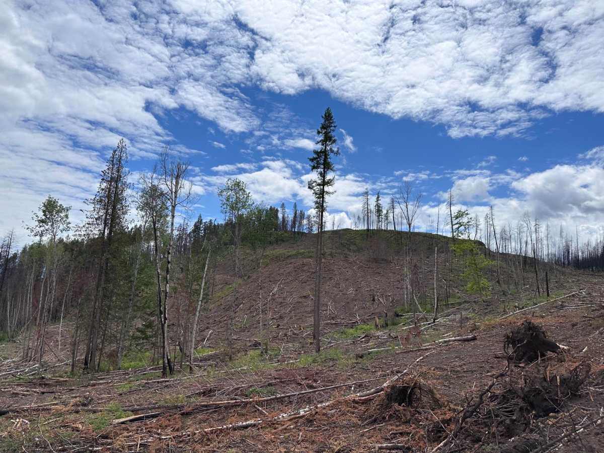New Fire Road photo 3