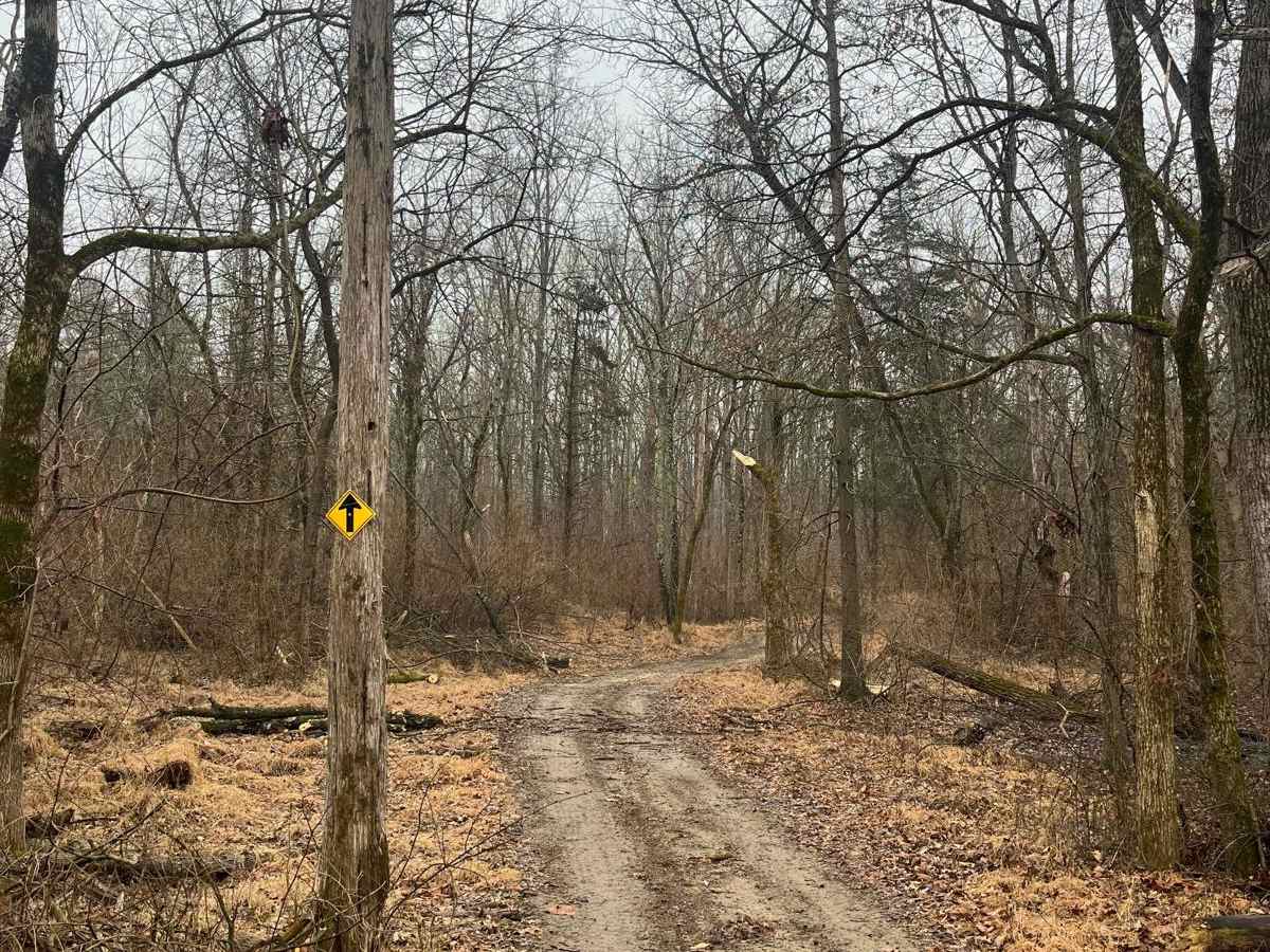 Family Trail trail photo