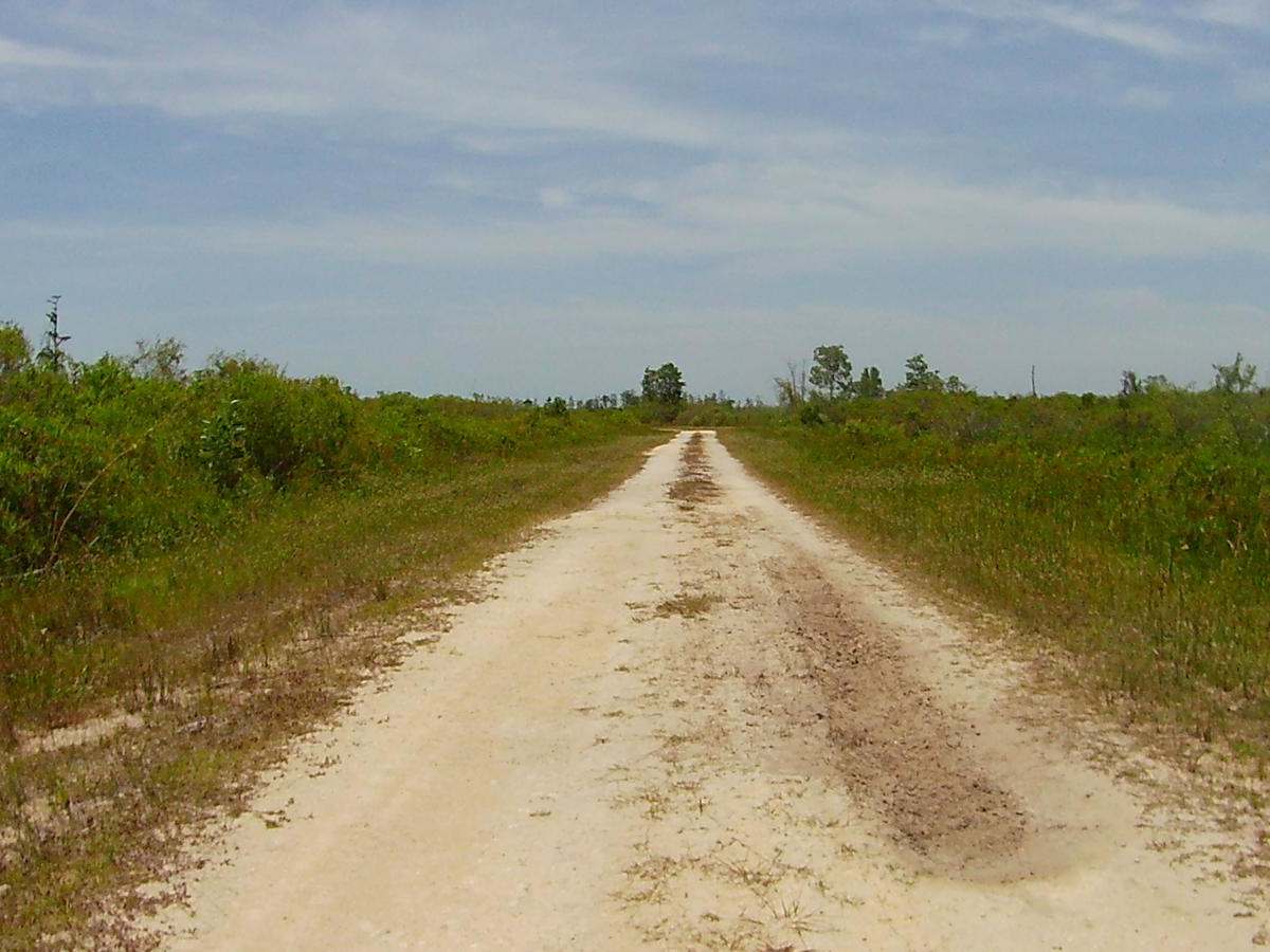 Sandy Road photo 2