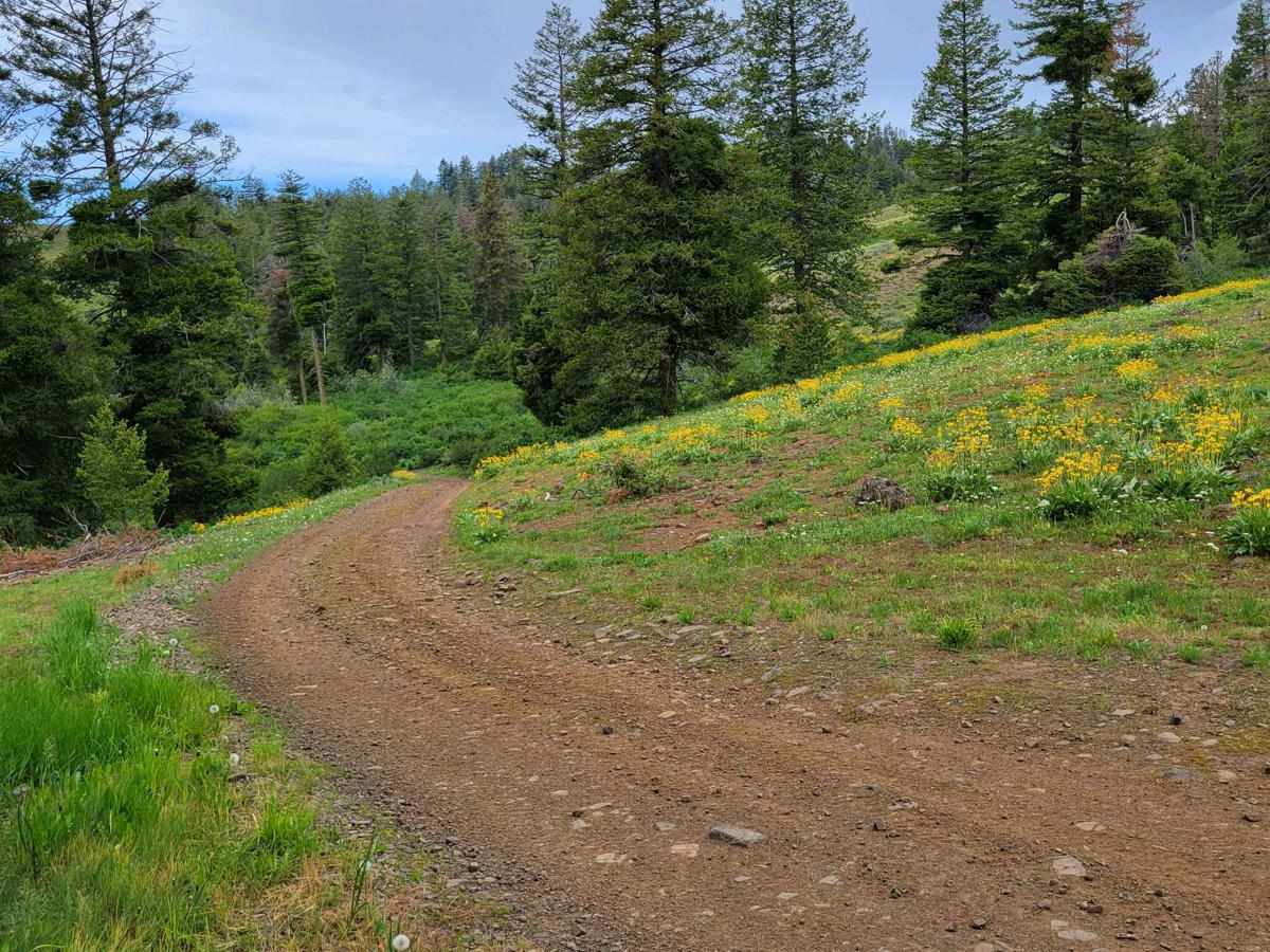 FR 322 - Wolf/Monroe Creek photo 4