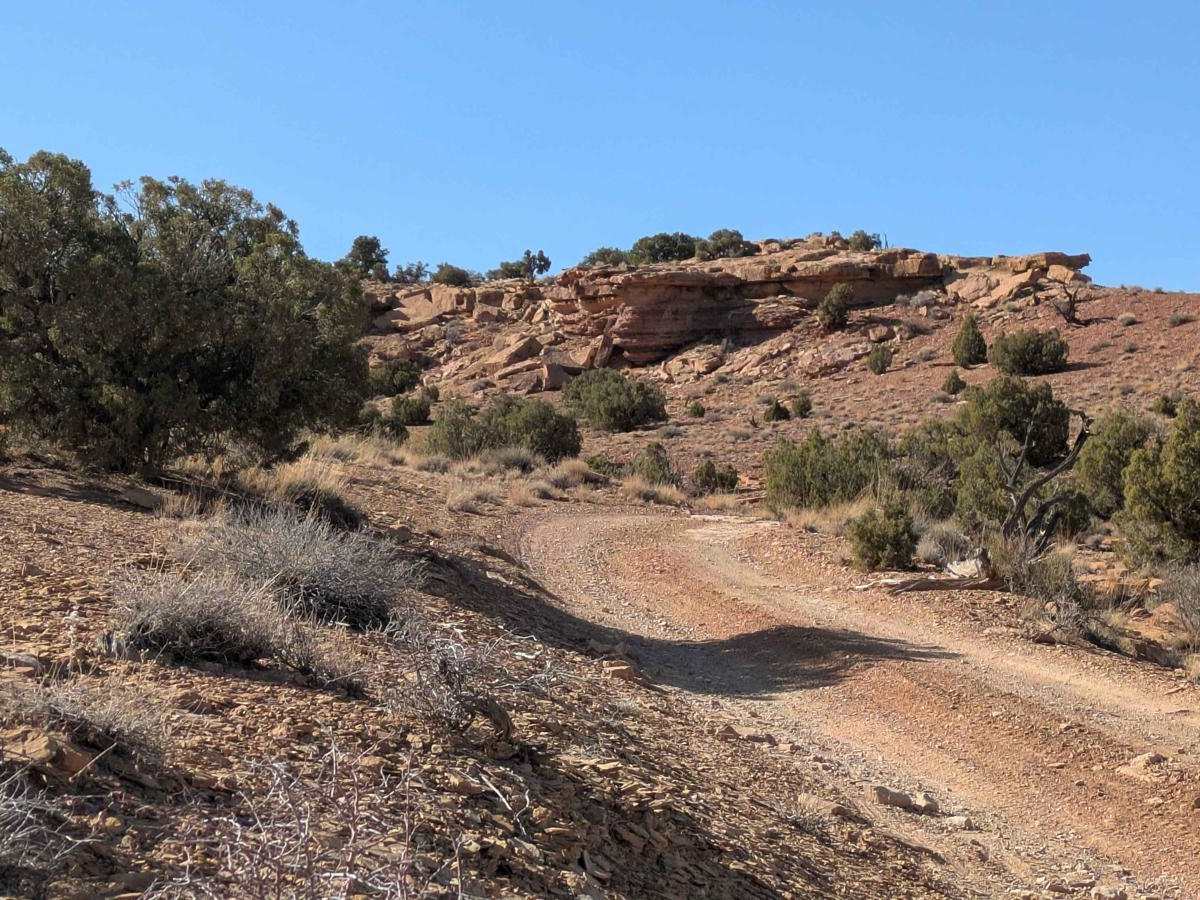 BLM 846 photo 2