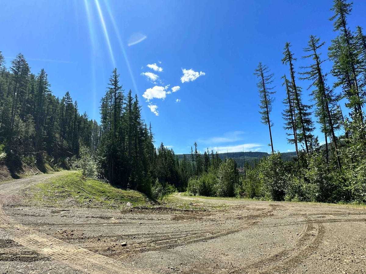Crater Creek Road photo 3