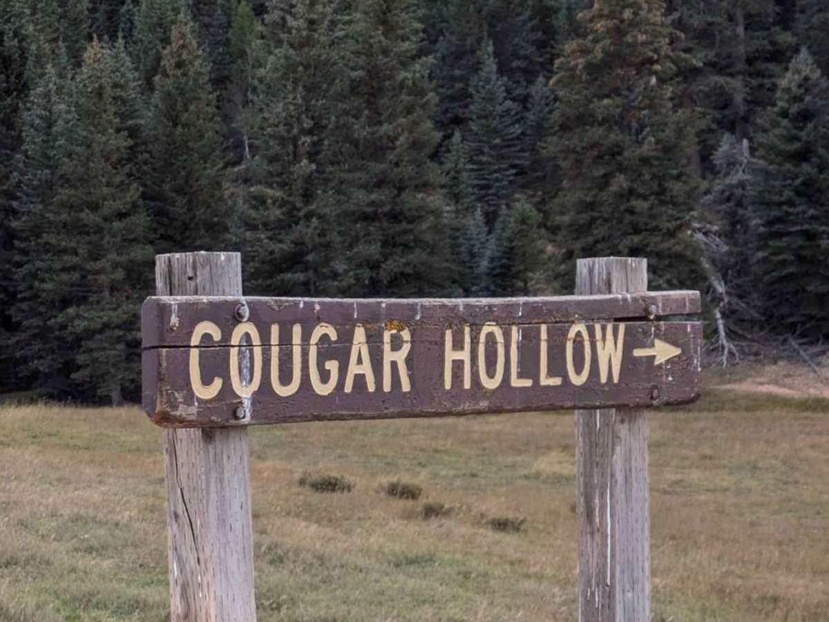 Podunk Cougar Hollow Loop trail photo