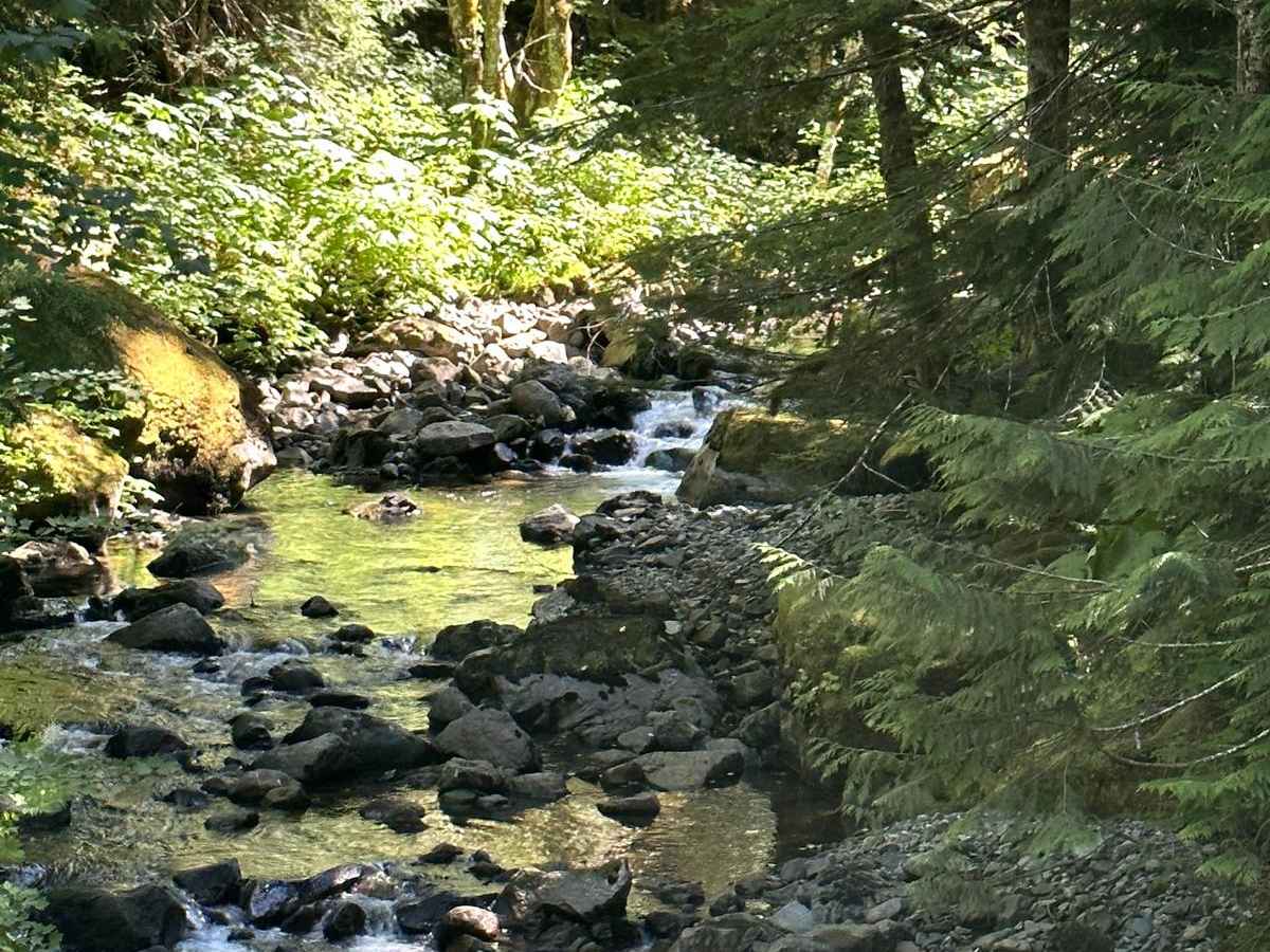 Smith Creek Road photo 3