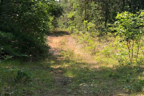 Badger Trail
