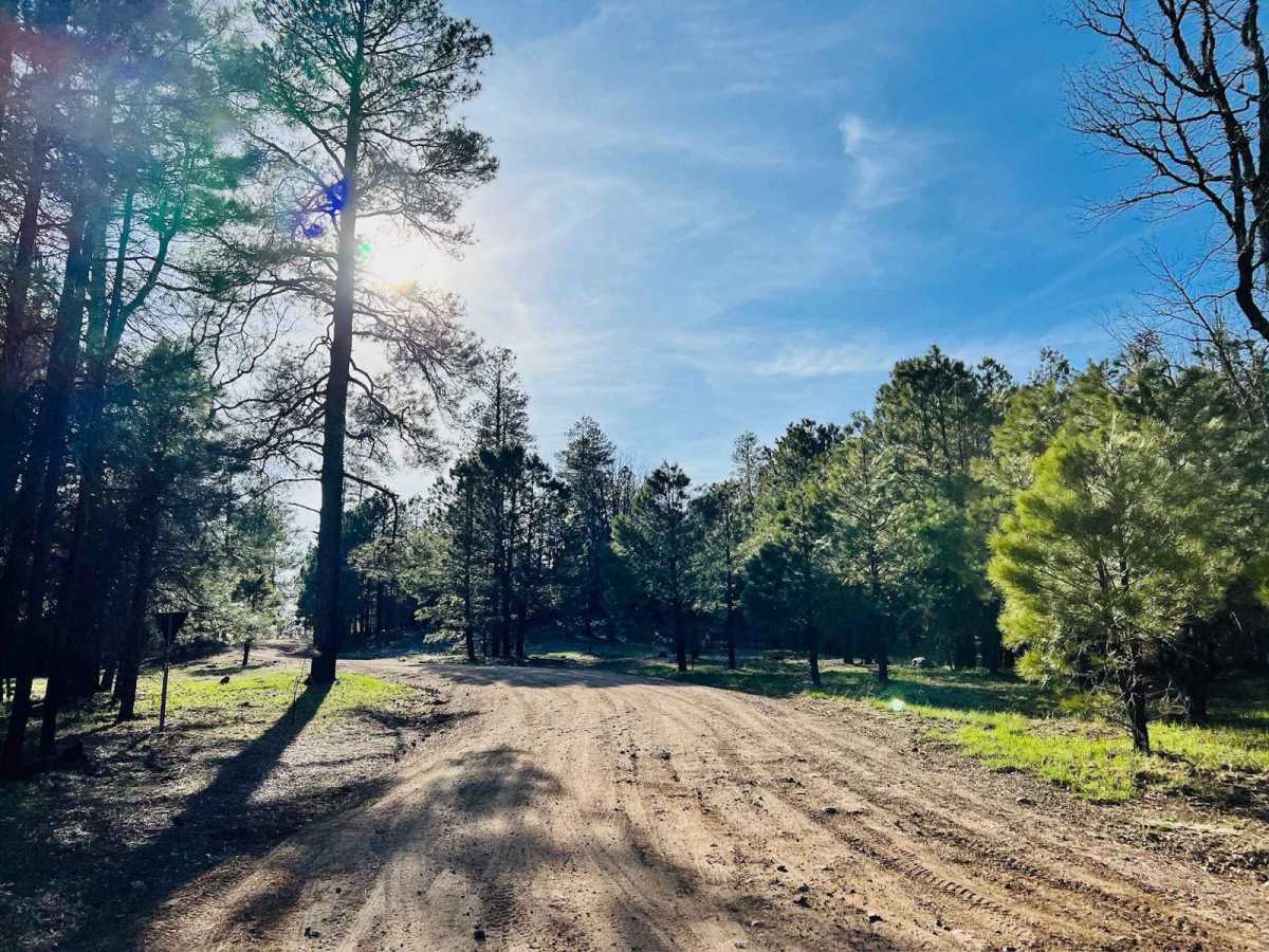FR-144 trail photo