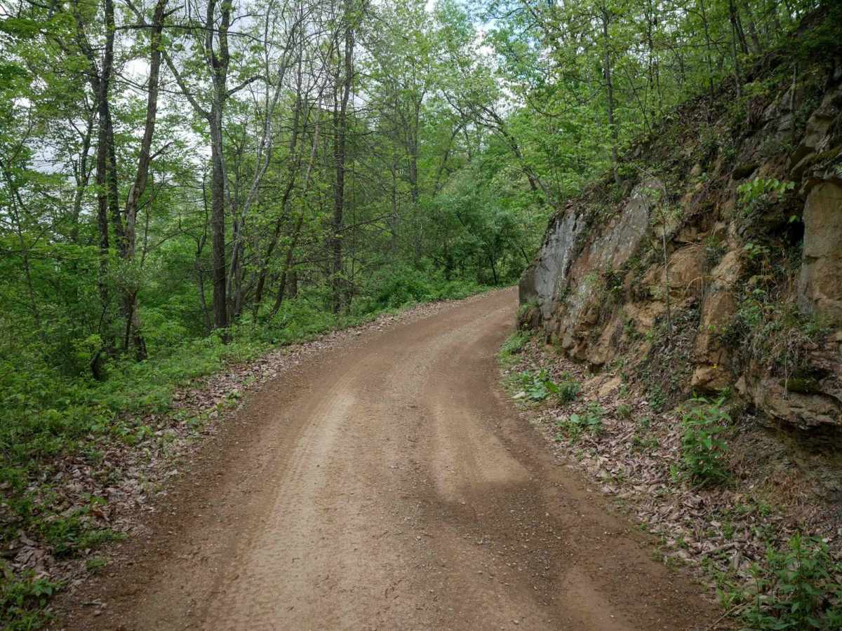 PC 31 trail photo